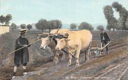 Thème: Agriculture. Battage. Moisson:   Labourage Aux Environs De Vichy    (voir Scan) - Cultures