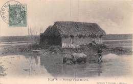 Thème: Agriculture. Battage. Moisson:    Tonkin.   Hersage D'une Rizière    (voir Scan) - Cultivation