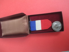 Médaille Du Travail/RF/ Ministère Du Travail Et De La Sécurité Sociale/ C Meunier / 1969      MED177 - Frankreich