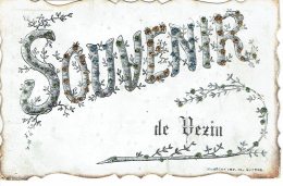 Andenne Souvenir De Vezin  Carte A Paillettes Edit Groyne - Andenne