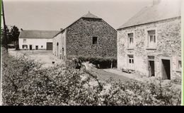 Malvoisin - Rue De Sart-Custinne - Photo Carte épreuve Mosa 4503 - Gedinne