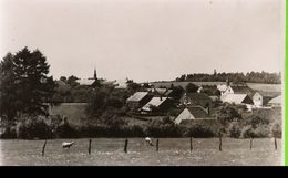 Malvoisin - Panorama - Photo Carte épreuve Mosa 4501 - Gedinne