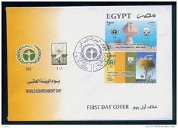 EGYPT / 2006 / World Environment Day - Desert And Desertification-White Desert / Birds / FDC - Cartas & Documentos