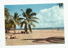 Cp , GUADELOUPE , Plage De SAINTE ANNE , écrite , Ed : Antilles Touristiques , N° 202 - Other & Unclassified