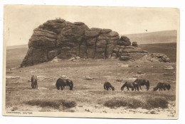 DARTMOOR HAYTOR VIAGGIATA FP - Dartmoor