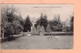 Cpa Cartes Postales Ancienne - Treigny Vue Sur Le Chateau De Guerchy - Treigny