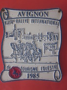 1985 AVIGNON XXIVé RALLYE INTERNATIONAL DE TOURISME Équestre Equitation Plaque Souvenir Commémorative En Fer - Ruitersport