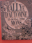 MONS VAR 63 RALLYE D'AUTOMNE 1990 F.F.E.ARTE PROCA - Équestre Equitation Plaque Souvenir Commémorative Conseil Général - Reiten