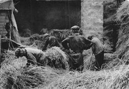 Thème: Agriculture. Battage. Moisson: Les Botteleurs De Paille  : Repro Année 2000- 10 X  15     (voir Scan) - Fermes