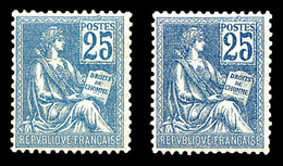 ** N°114, 25c Mouchon: Bleu Et Bleu-foncé, Les 2 Exemplaires TB (certificat)    Qualité: ** - 1900-02 Mouchon