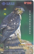TARJETA DE CHINA DE UN AGUILA (EAGLE) - Águilas & Aves De Presa
