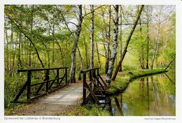 CPM - Spreewald Bei Lübbenau In Brandenburg - Brandenbourg - Allemagne - Port Gratuit - Freies Verschiffe - Lübben (Spreewald)