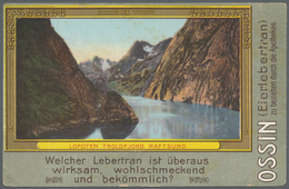 GA Thematik: Medizin, Gesundheit / Medicine, Health: 1905 (ca), Dt. Reich. Privat-Postkarte 5 Pf Germania "OSSIN Eierleb - Medicina