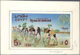 Thematik: Nahrung / Food: 1986, Egypt. Artist's Drawing For A Non-adopted Design For The Issue WORLD FOOD DAY (FAO) Show - Food