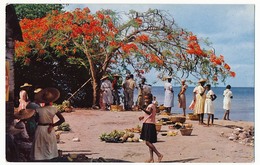 CPSM - Trois Rivières (Martinique) - Marché En Plein Air - Sonstige & Ohne Zuordnung