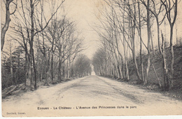 Delcampe - Ecouan - Le Château - L'Avenue Des Princesses Dans Le Parc - 1911 - Ecouen