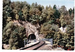 Vallée Du Danube - Voie Ferrée Sigmaringen - Tiergarten - Sigmaringen