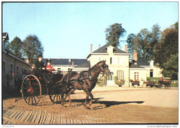 ARNAC POMPADOUR 19 - HARAS DE POMPADOUR - ABIDJAN étalon Anglo-Arabe Tirant Une Charette Anglaise - V-3 - Arnac Pompadour