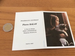 Calendrier 1994 "PHARMACIE BALAY BREST (29) / Photo Vloo - L. Warneck (enfant, Chat)" - Small : 1991-00