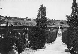 04-FORCALQUIER- LE CIMETIERE - Forcalquier