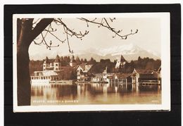 PRW424 POSTKARTE JAHR 1924 VELDEN KNOSPEN Und SCHNEE GEBRAUCHT  SIEHE ABBILDUNG - Velden