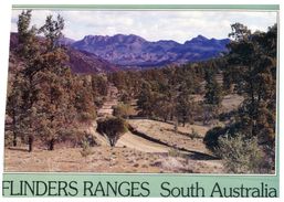 (444) Australia - Flinders Range - Flinders Ranges