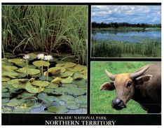 (444) Australia - Northern Territory - Non Classificati