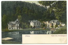 Pillnitz Partie Beim Friedrichsgrund 1905 - Pillnitz