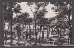 BOUCHES DU RHONE - Marseille - Lycée Pilote "Marseille-Veyre" Dans La Pinéde - Südbezirke, Mazargues, Bonneveine, Pointe Rouge, Calanque-Felsen