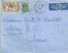 Luftpost Brief  Alger - Spiez               1954 - Covers & Documents