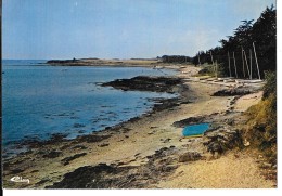 56 - ILE D'ARZ - Plage Des Dériveurs    - COMBIER -CIM - IMP à MACON   Ref 0281 - Ile D'Arz