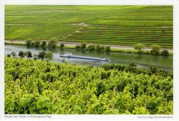 CPM - Mosel Bei Nittel In Rheinland Pfalz - Allemagne - Port Gratuit - Freies Verschiffe - Saarburg