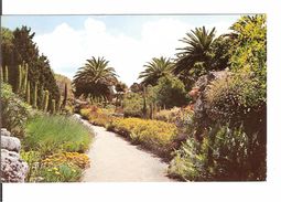 TRESCO GARDENS SCILLY - Scilly Isles