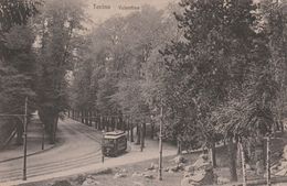 13559) TORINO PARCO VALENTINO CON TRAM NON VIAGGIATA 1920 CIRCA INSOLITA - Parken & Tuinen