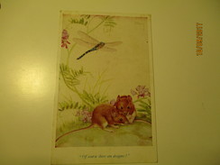 OF COURSE THERE ARE DRAGONS , MOUSE AND DRAGONFLY , SIGNED NOEL HOPKINS , OLD POSTCARD  , O - Insectos