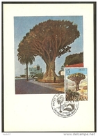 ESPAGNE Carte Maximum - Dracaena Draco - Cartes Maximum