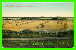 EDMONTON, ALBERTA - A WHEAT FIELD - - Edmonton