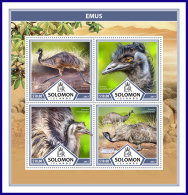 SOLOMON ISLANDS 2017 ** Emus Birds Vögel Oiseaux M/S - OFFICIAL ISSUE - DH1737 - Straussen- Und Laufvögel