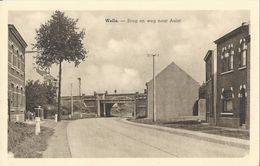 Welle.  Brug En Weg Naar Aalst. - Denderleeuw