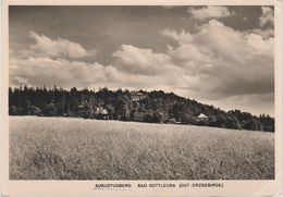 Hering AK Berghotel Gasthof Baude Augustusberg Bei Gottleuba Berggiesshübel Hellendorf Oelsen Breitenau Zwiesel Pirna - Bad Gottleuba-Berggiesshübel