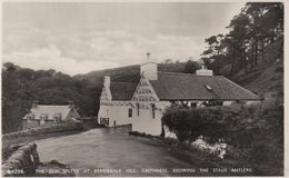 REAL PHOTOGRAPHIC POSTCARD By J. B. White - THE OLD SMITHY AT BERRIEDALE HILL - SHOWING STAGS ANTLERS - SCOTLAND - Caithness