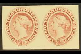 5780 CANADA - NEWFOUNDLAND - Altri & Non Classificati