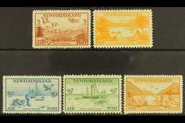 5826 CANADA - NEWFOUNDLAND - Other & Unclassified