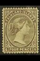 6165 FALKLAND IS. - Falkland Islands