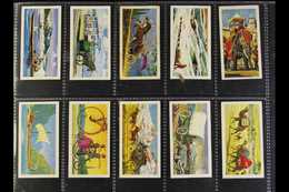 8358 CIGARETTE & TRADE CARDS - Sonstige & Ohne Zuordnung