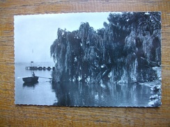 Messery , Bords Du Lac Léman , La Pointe " Carte Animée Barque Sur Le Lac  "" Beaux Timbre Et Cachets "" - Messery