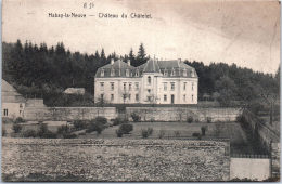 Belgique - Luxembourg - HABAY LA NEUVE - Une Vue Du Château Du Chatelet - Habay