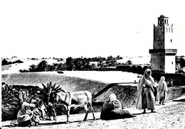 El-Oued. La Mosquée Et Les Jardins Du Souf. - El-Oued