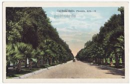 Phoenix Arizona AZ, Old Cars On Palm Drive - Scenic Road C1920s Vintage Old Postcard M8467 - Phoenix