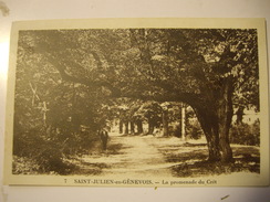 SAINT-JULIEN En GENEVOIS  La Promenade Du Crèt - CP-Haute-Savoie 74 - Saint-Julien-en-Genevois